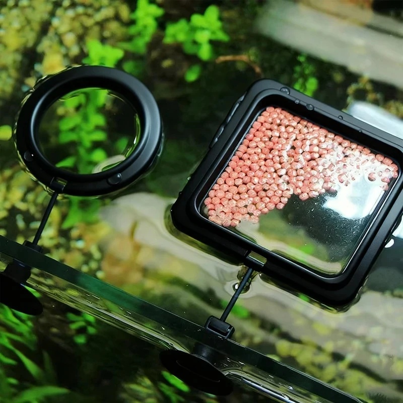 Aquarium Fish Medicine - 1/3pcs Aquarium Fish Feeding Ring Fish