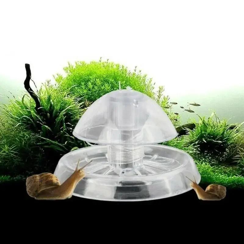2026 New 6/8CM Clear Plastic S - Aquarium Fish Maintenance review and price