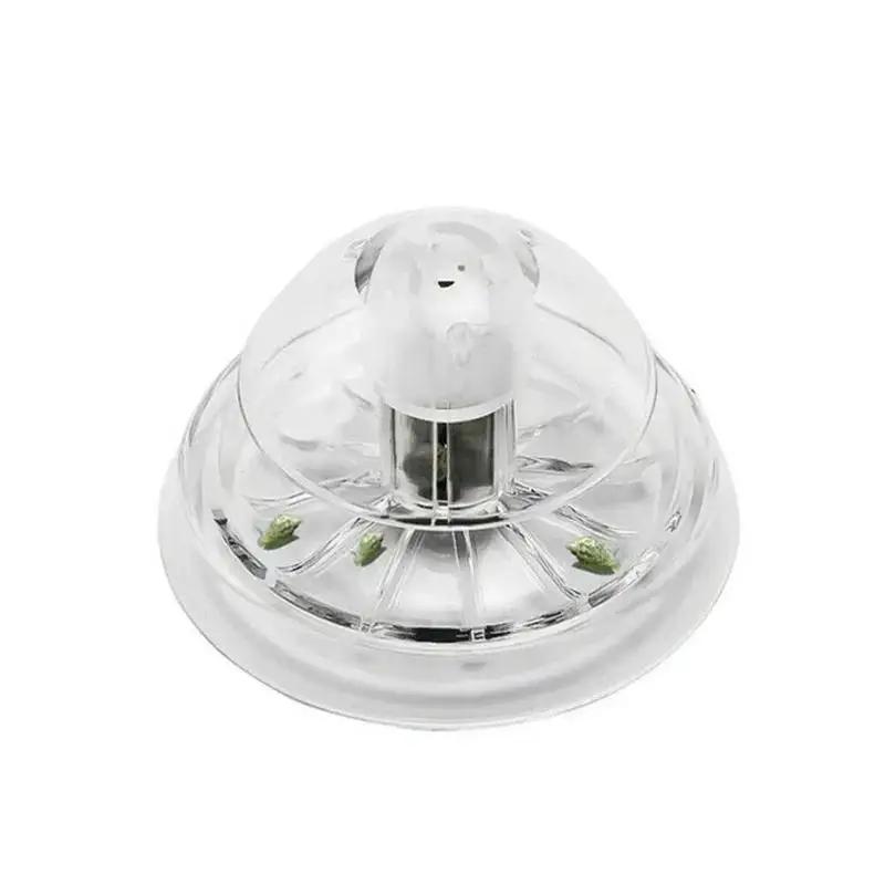 2026 New 6/8CM Clear Plastic S - Aquarium Fish Maintenance review and price