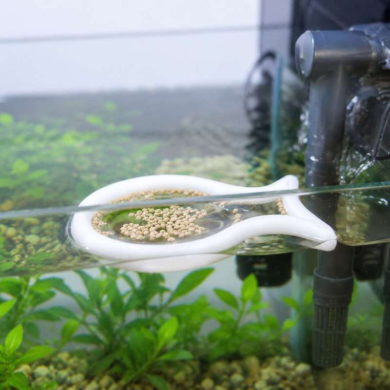 Fish Shaped Floating Feeding R - Aquarium Fish Medicine review and price
