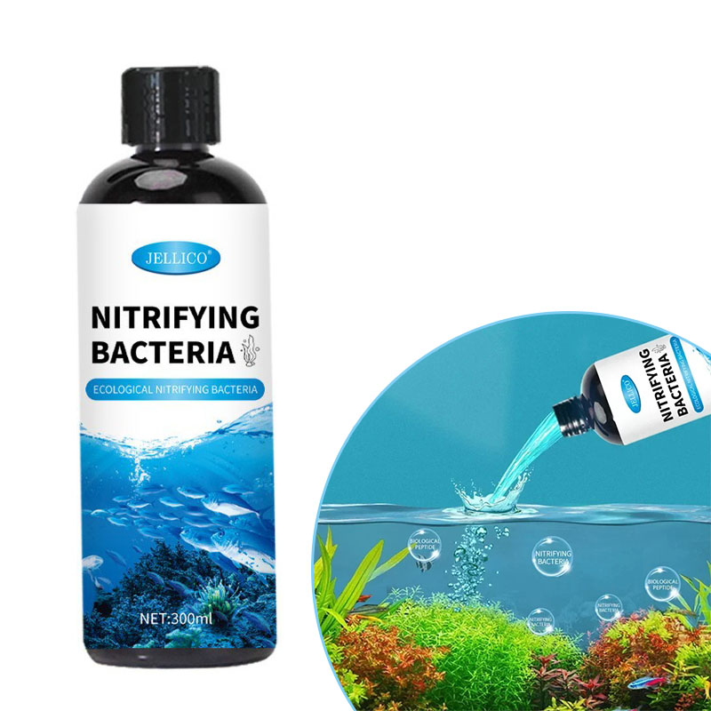 Nitrifying Bacteria Liquid Fis - Aquarium Fish Medicine review and price