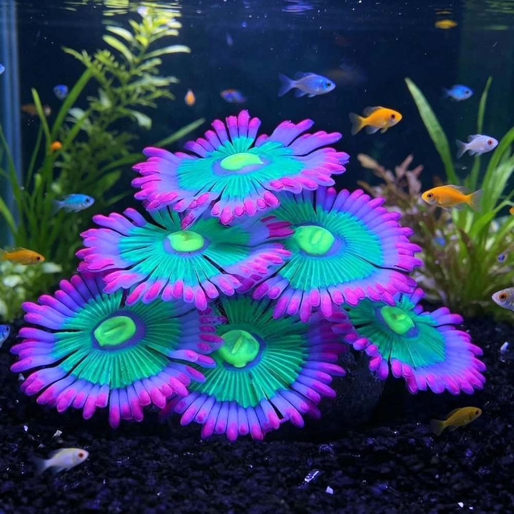 Glowing Soft Aquarium Fish Tan - Aquarium Fish For Sale Online review and price