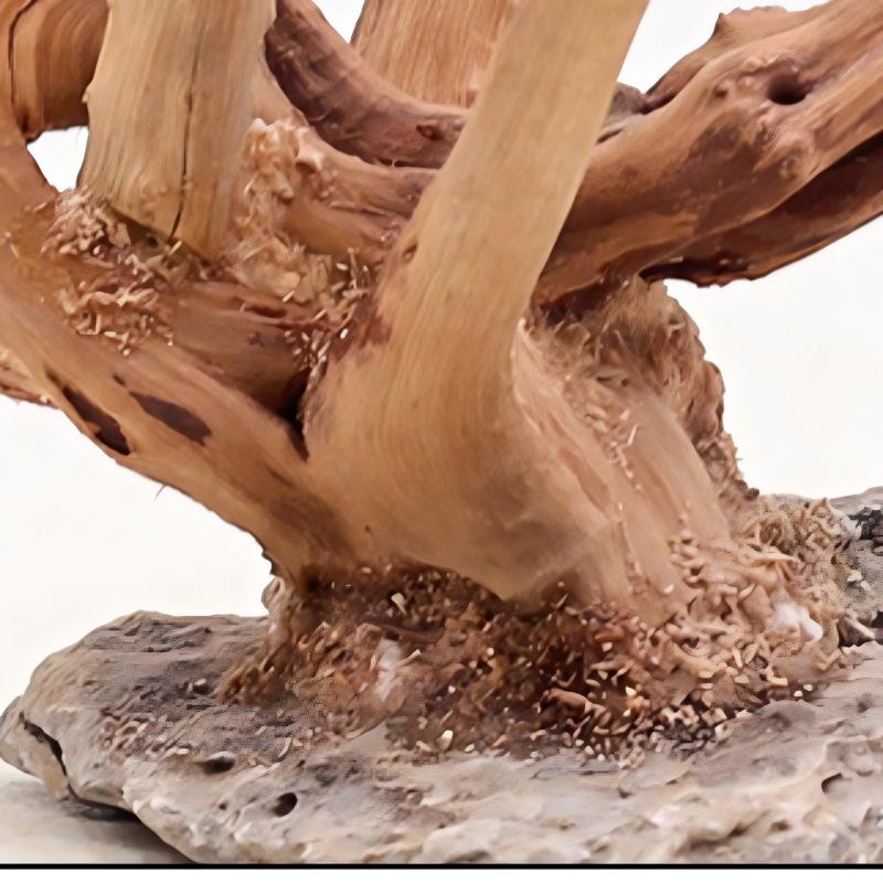 1PC Aquarium Landscaping Wood  - Aquarium Fish For Sale Online review and price
