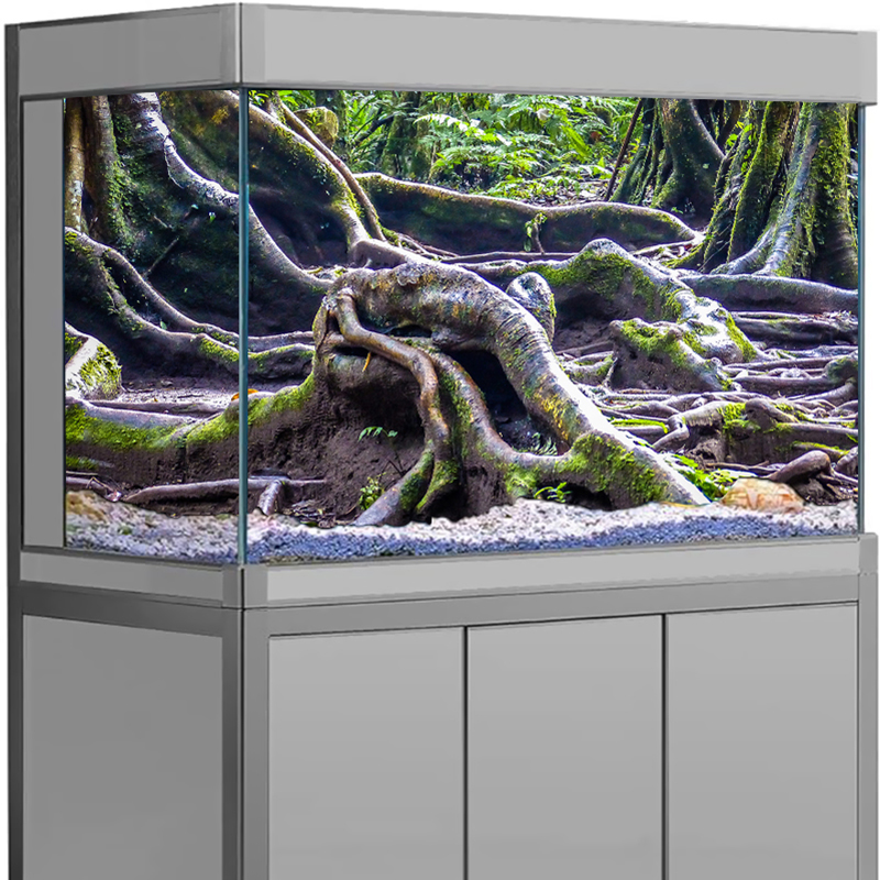 Fish Tank Decor Aquarium Backg - Aquarium Fish For Sale Online review and price