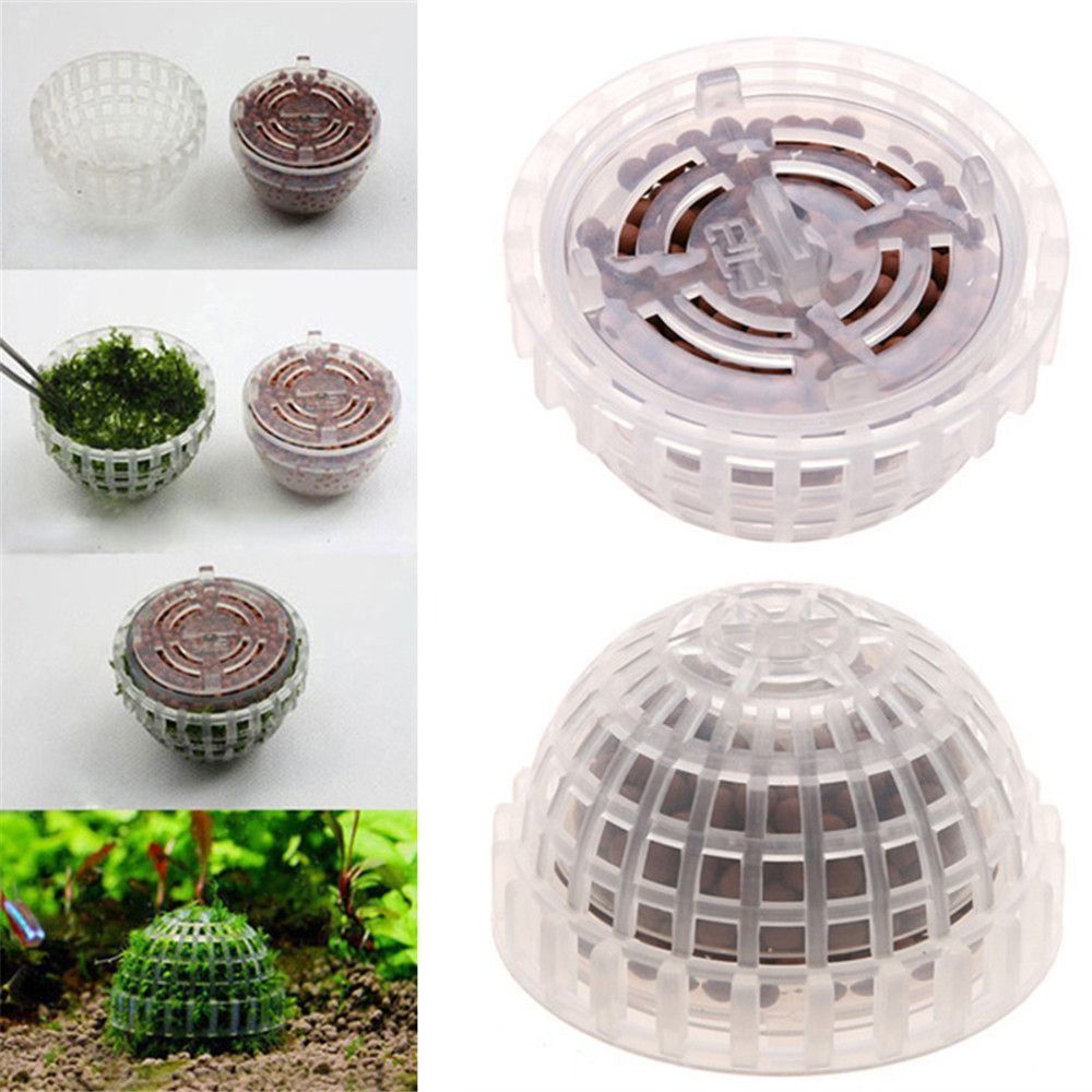 New Plastic Suspension Moss Do - Aquarium Fish For Sale Online review and price