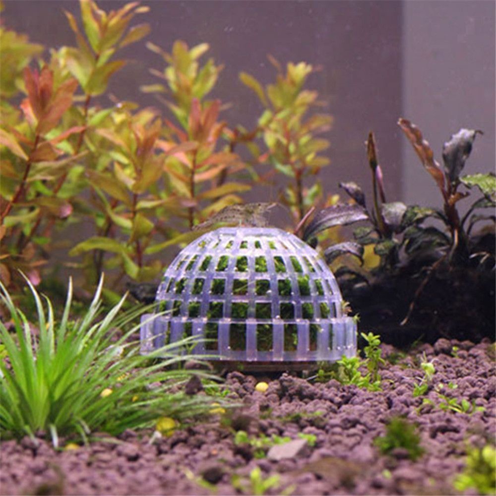 New Plastic Suspension Moss Do - Aquarium Fish For Sale Online review and price